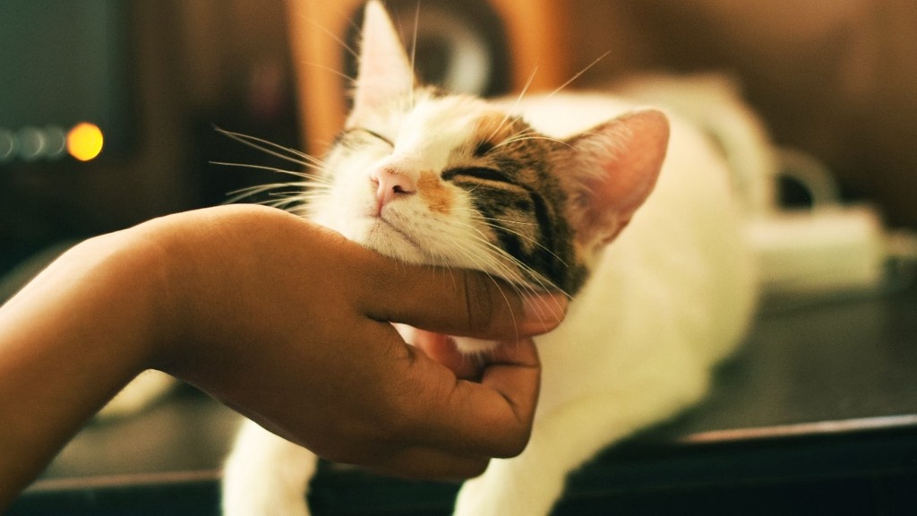    Фото © Unsplash.com