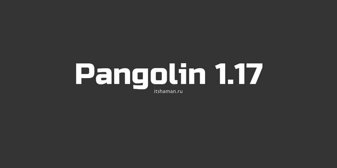 Новая версия Pangolin 1.17 - обратного прокси-сервера