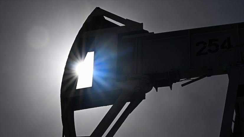   РИА Новости Максим Богодвид