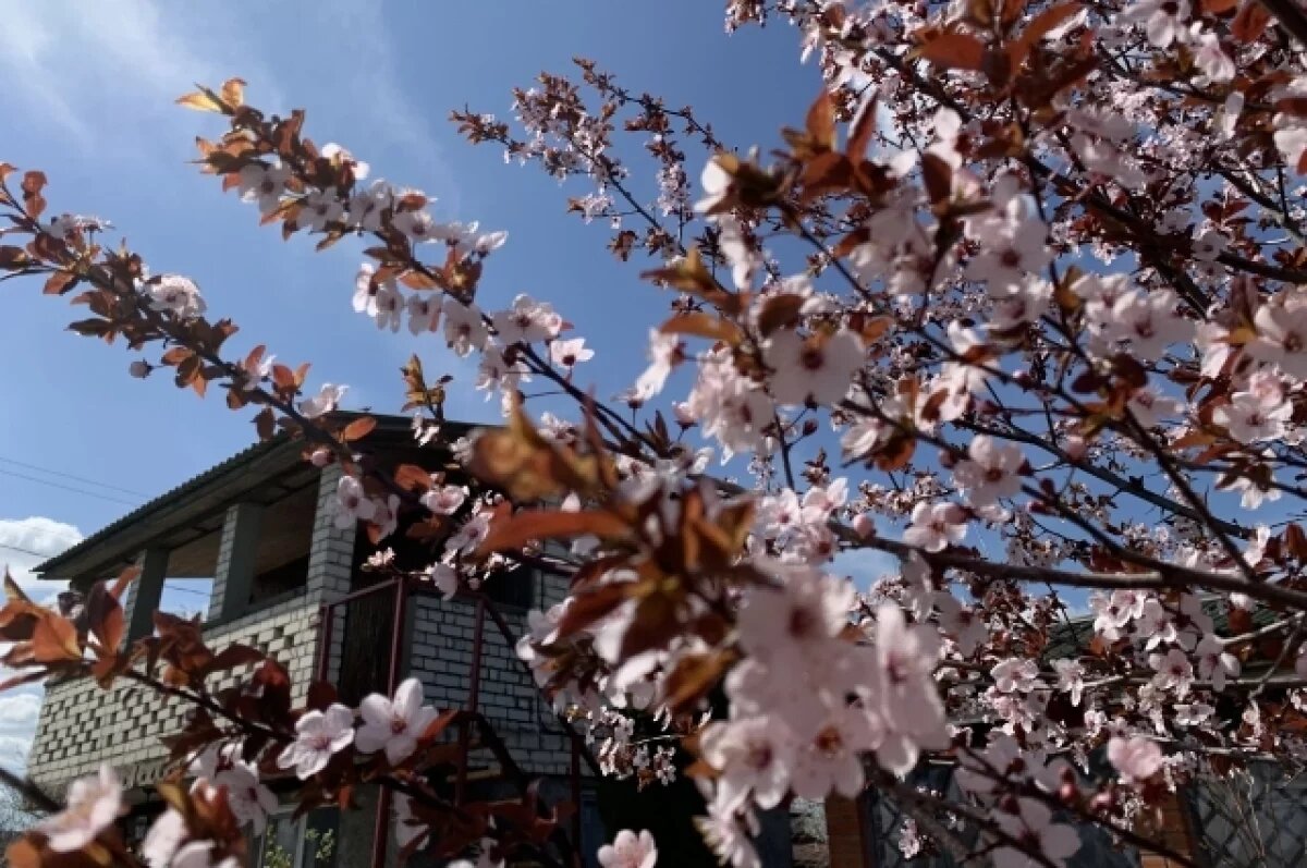    Тулякам напомнили о возможном изъятии заброшенных земельных участков