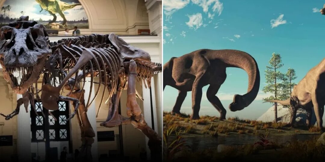 Почему наши представления о динозаврах оказались далеки от реальности