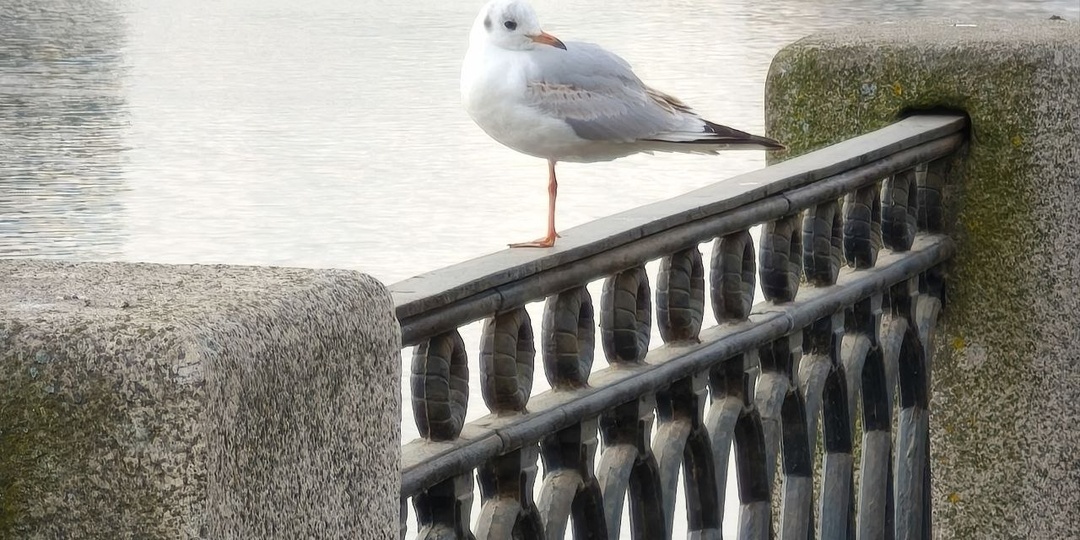 Этика мягких продаж: как предлагать свои услуги без давления и манипуляций