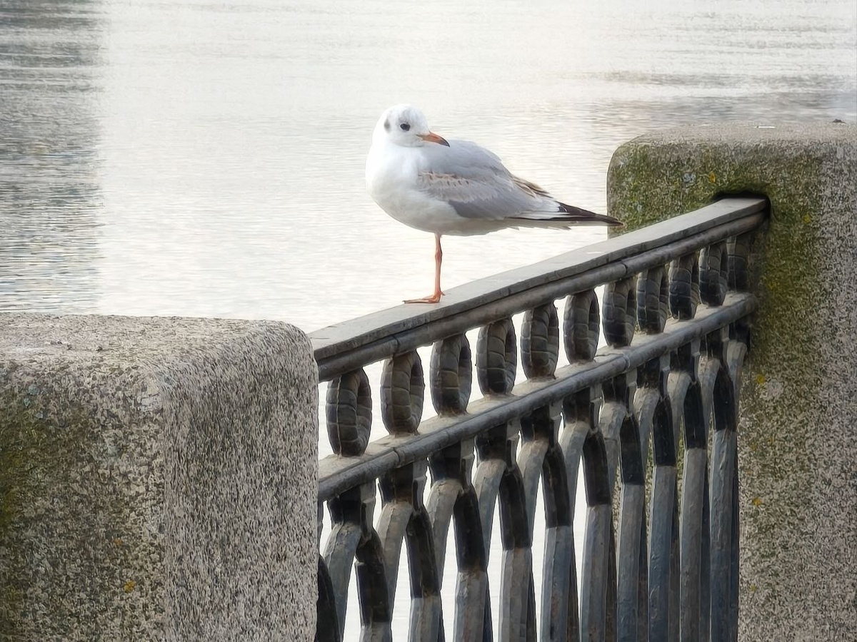 Мягкие продажи - Блогер в 60+ | Евгения Бровкина