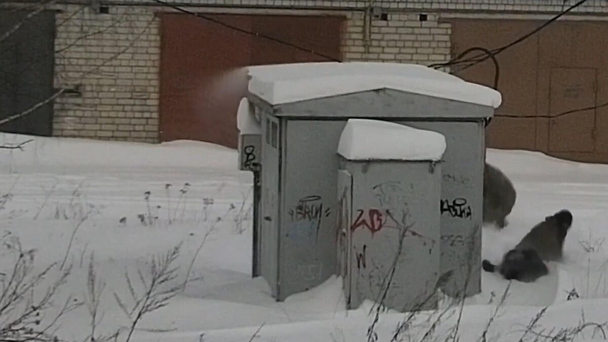    Фото: ЦОС ФСБ России