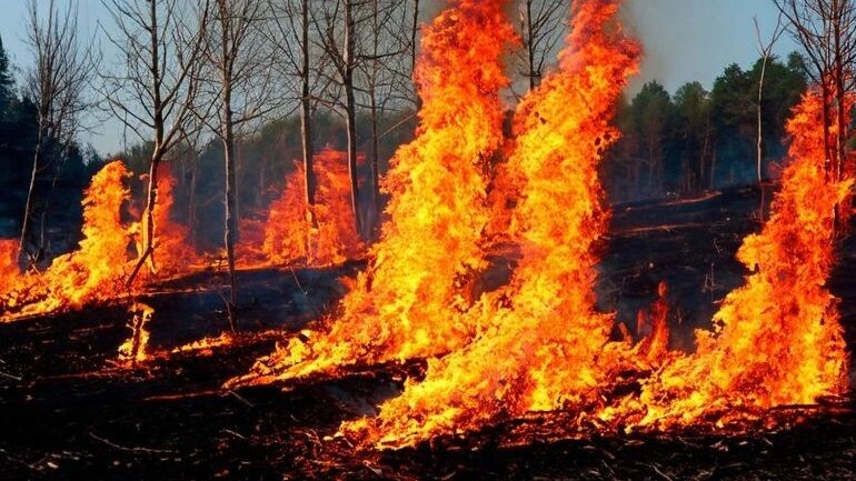    Фото: Fernando Astasio Avila/Shutterstock/Fotodom