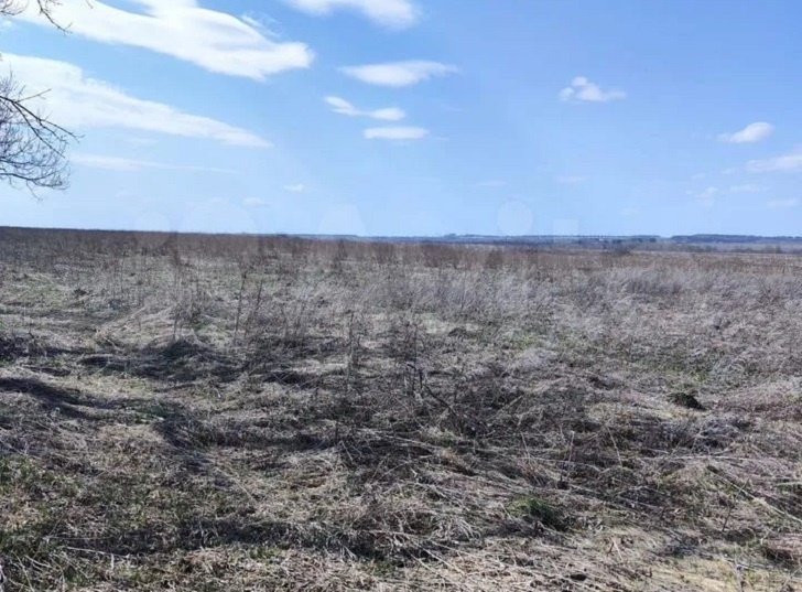    Фото: Авито