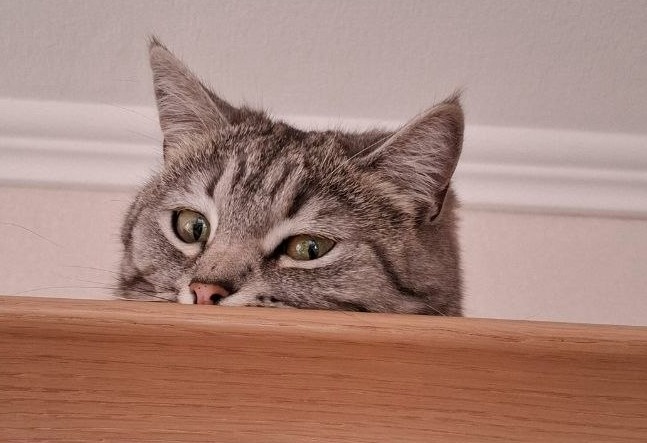 Ей сверху виднее