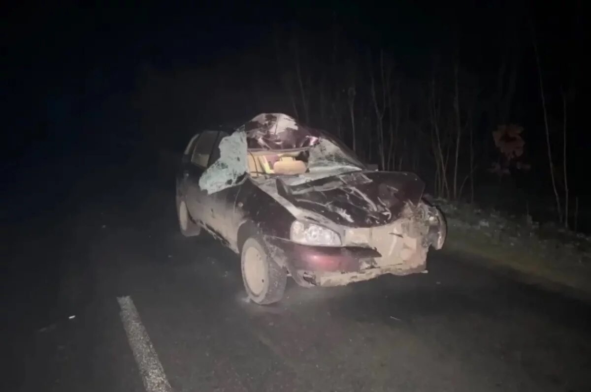    В Брянской области «Лада Калина» сбила лошадь в Севском районе