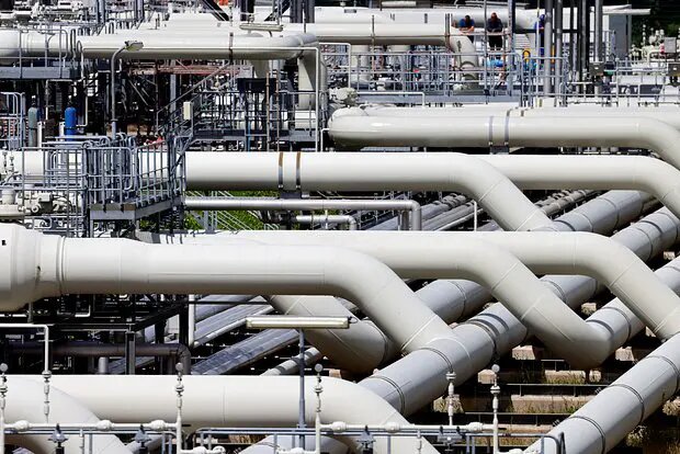    Источник: lenta.ru/ Светлана