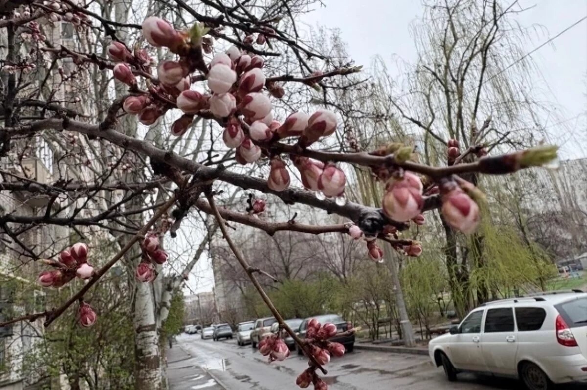    В Оренбурге жара, в Сочи - беда: наш регион в апреле самый тёплый в РФ