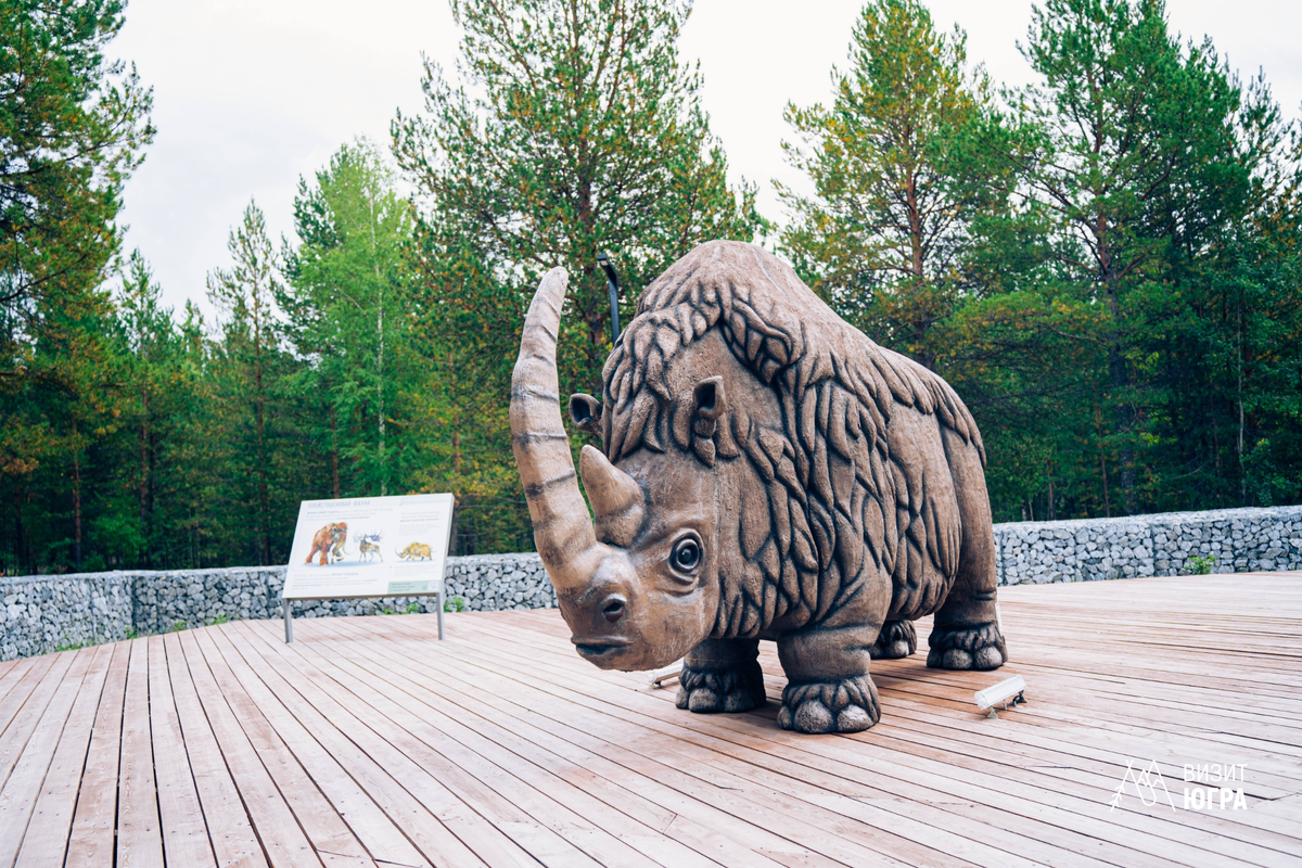 Фото: музейный центр «Барсова Гора»