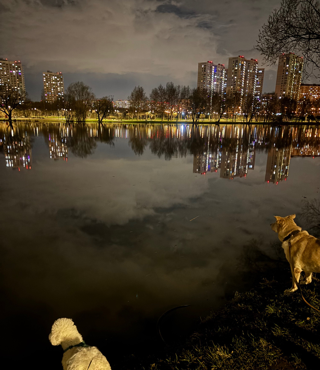 Перед «плюх»)