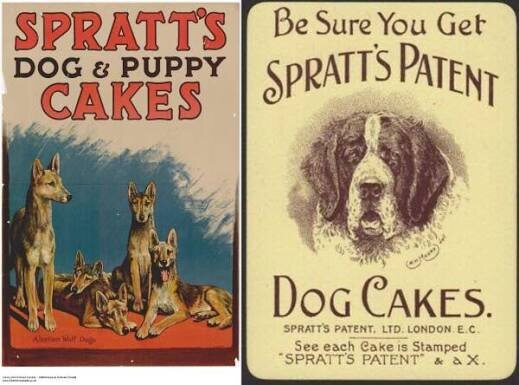 Кто и зачем придумал корм для кошек и собак, если они могут есть человеческую еду. История корма для животных