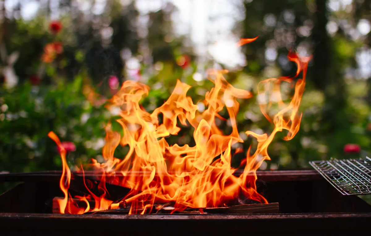 Фото: Wookil / GoodFon.ru