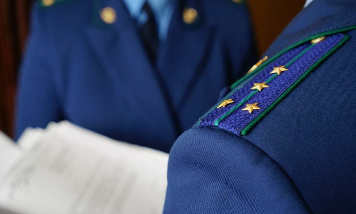    Фото Виктории Перевязко, «Кубань 24»