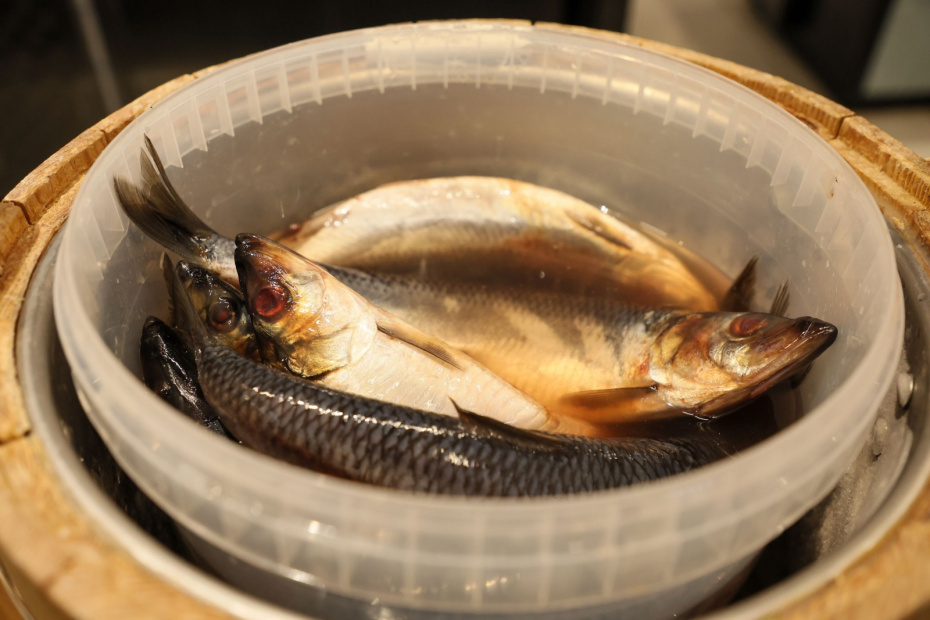    Алексей Белкин/NEWS.ru