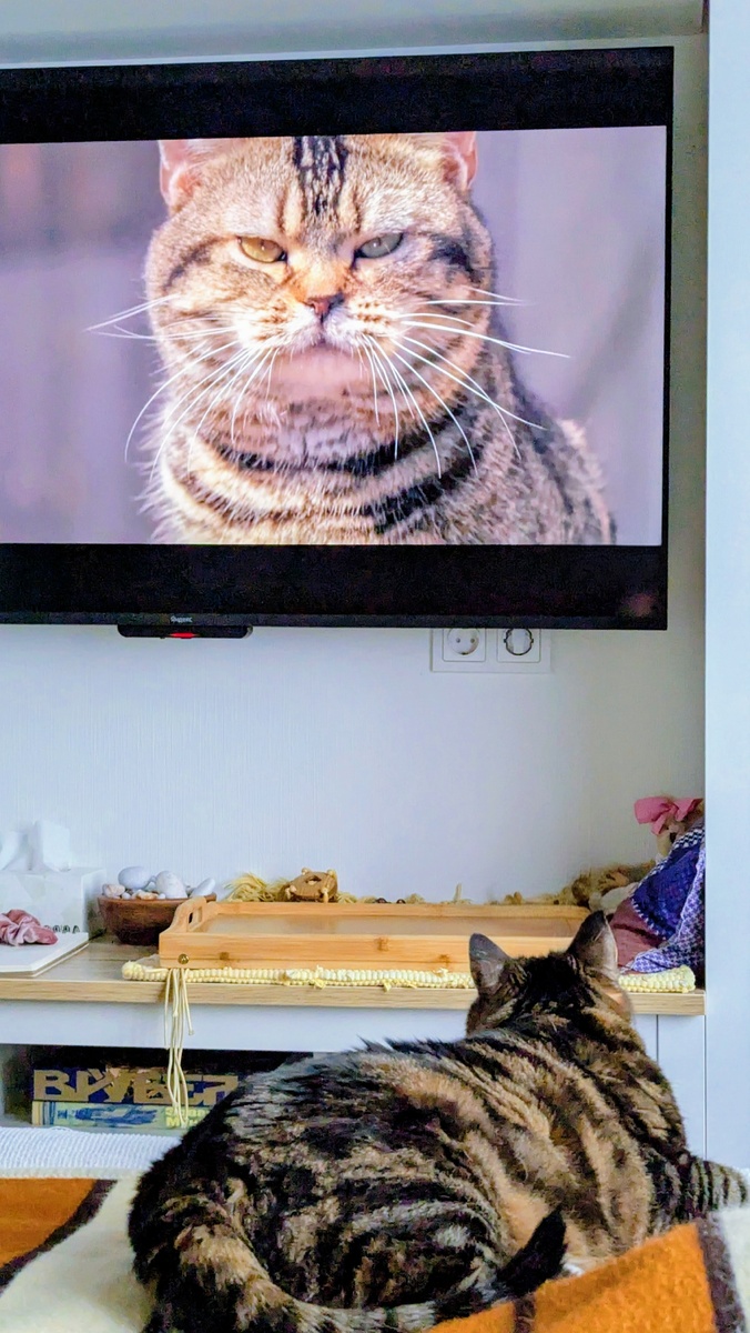 Мурза смотрит фильм Кот и Дедуля, 2018