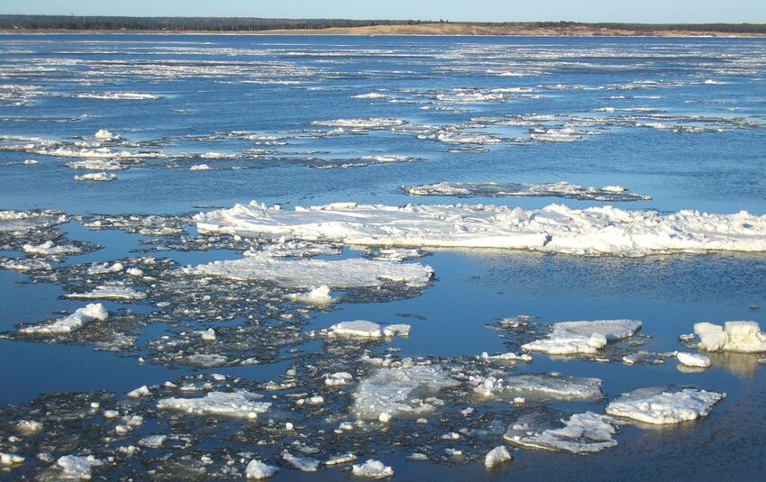 Яндекс Картинки