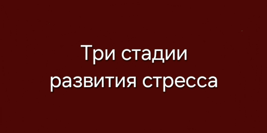 Три стадии развития стресса
