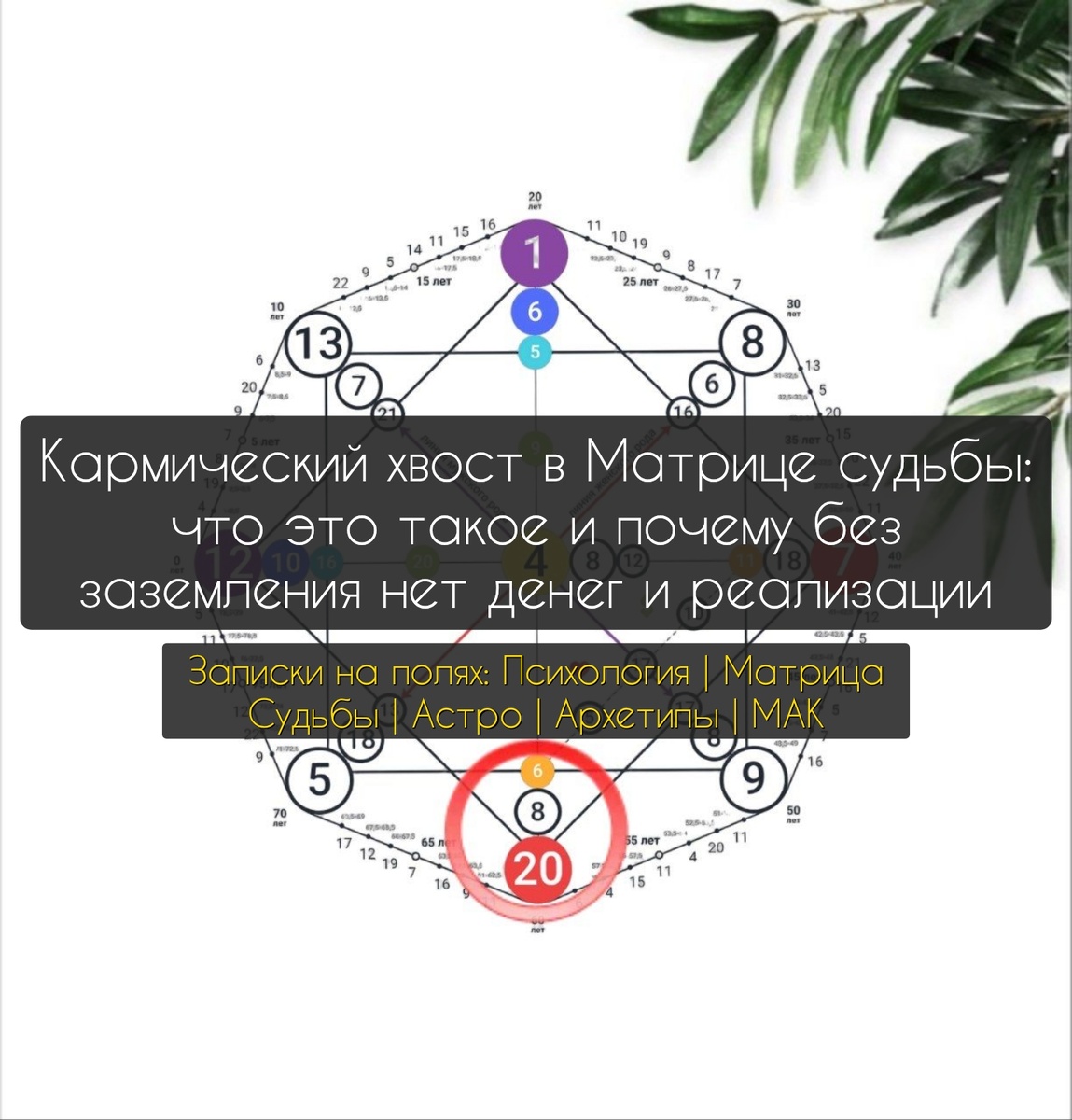Зона кармического хвоста