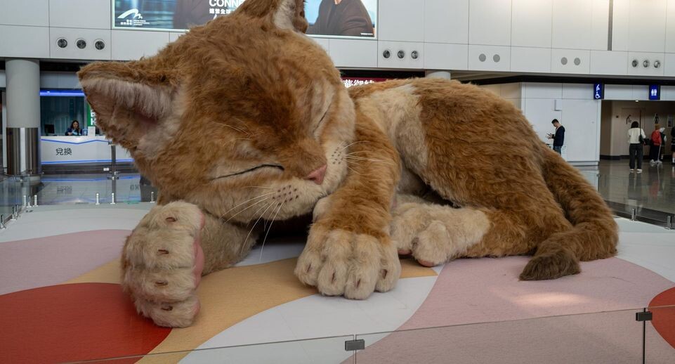    Vernon Yuen/Keystone Press Agency / www.globallookpress.com