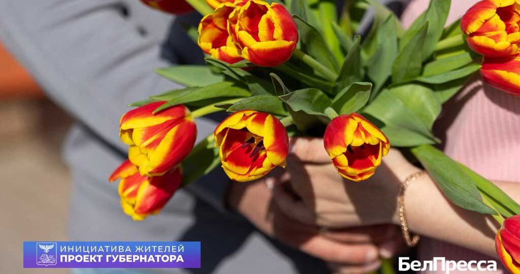 «Захотелось попробовать что‑то новое». Ракитянец решил выращивать тюльпаны