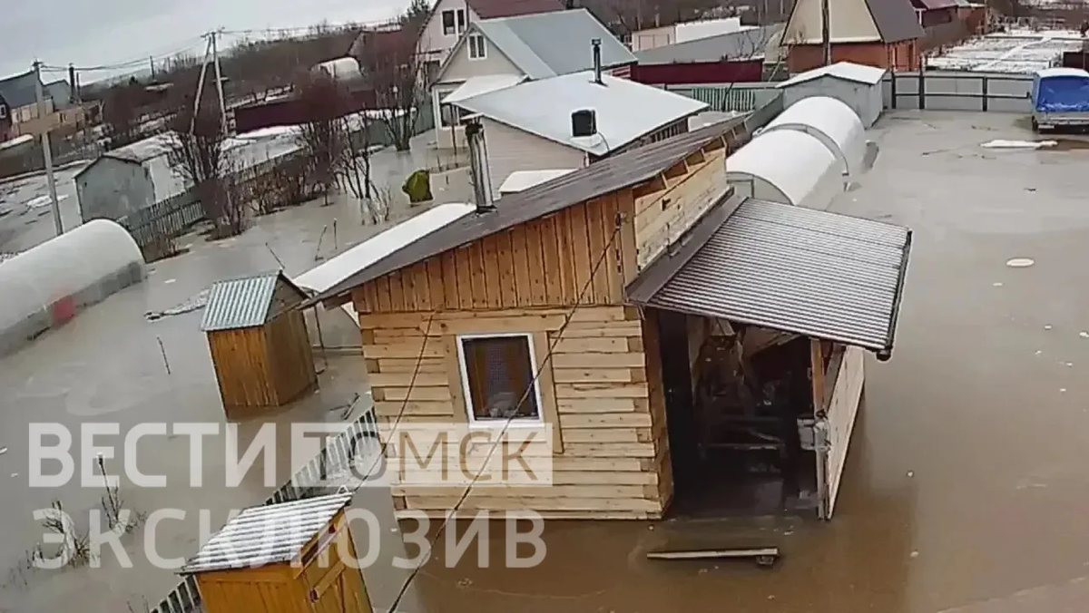    Фото: предоставлено "Вестям-Томск"
