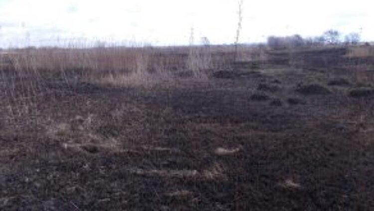    Фото: Россельхознадзор РФ