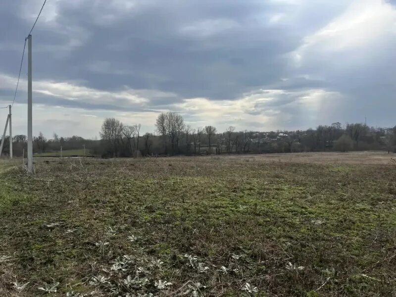     © фото - прокуратура Курской области