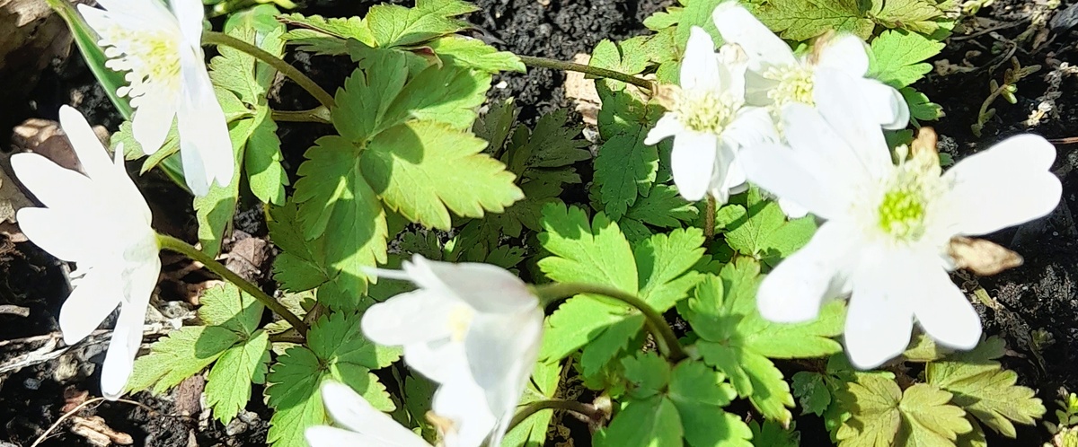 Фото автора канала