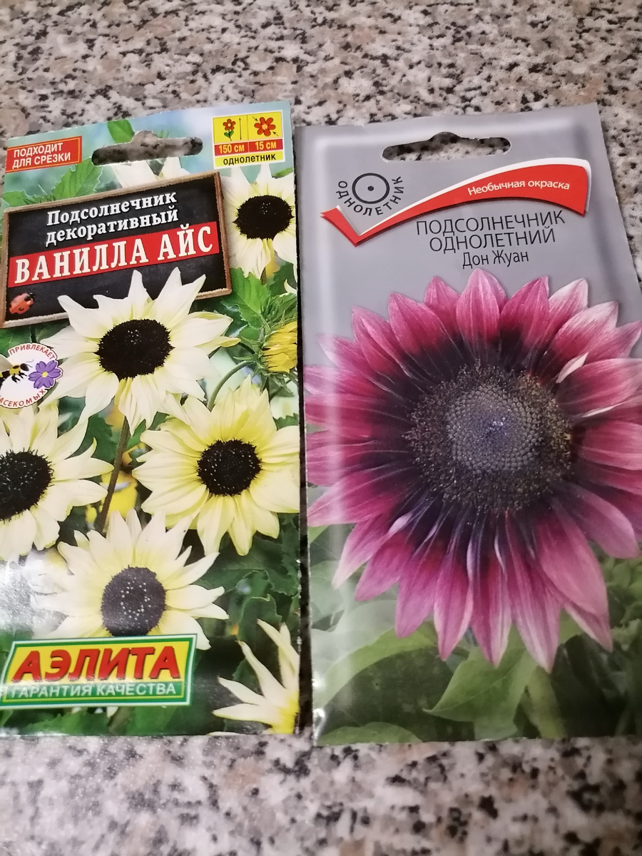 Раньше выращивала Итальянский белый, тоже красивый, не белый, конечно, нежно-желтый