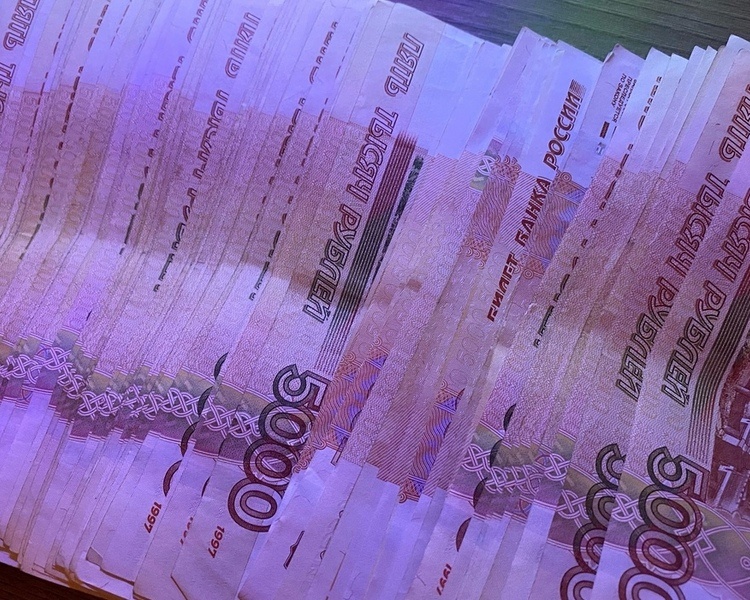     Суд взыскал с жительницы Москвы 890 тысяч незаконных выплат в Курской области