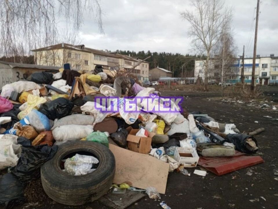    Мусорная площадка на ул. Крайней. Источник: t.me/biysknews2