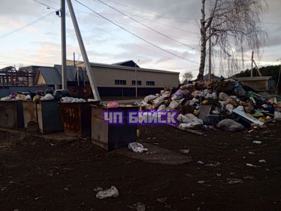    Мусорная площадка на ул. Крайней. Источник: t.me/biysknews2