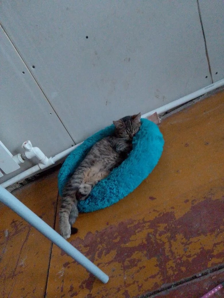 Зоя отдыхает.