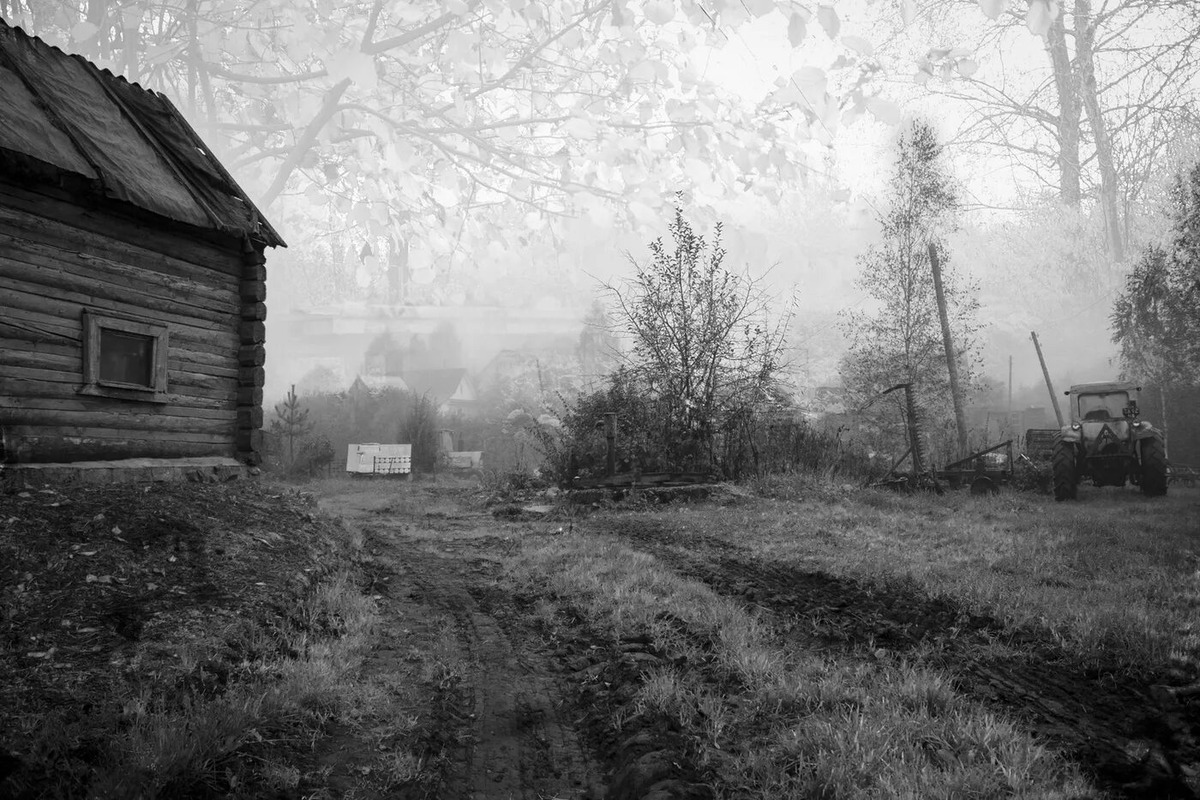 Взято из открытых источников интернета Яндекс.