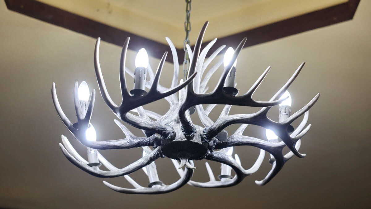    Фото: Андрей Ткачев/ «Ямал-Медиа»