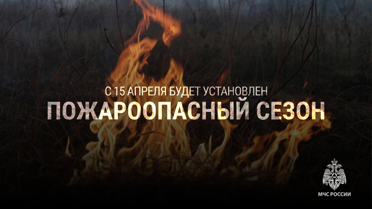 В 2025 году на территории Пермского края ликвидировано 89 ландшафтных пожаров, связанных с горением сухой травянистой растительности на общей площади 79,65 Га.
