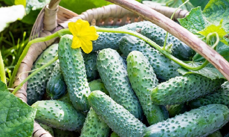 �������� ��������� ��� �������: ��������� ������ �������� ������, � ������� ���� ��� �����