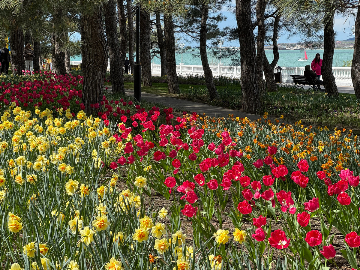 Фото автора