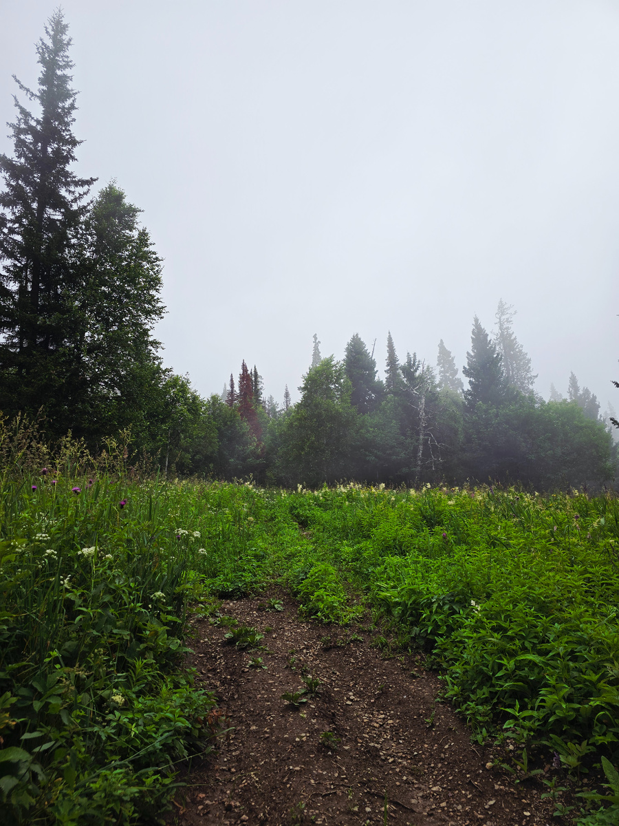 Подъем на вершину Юрмы