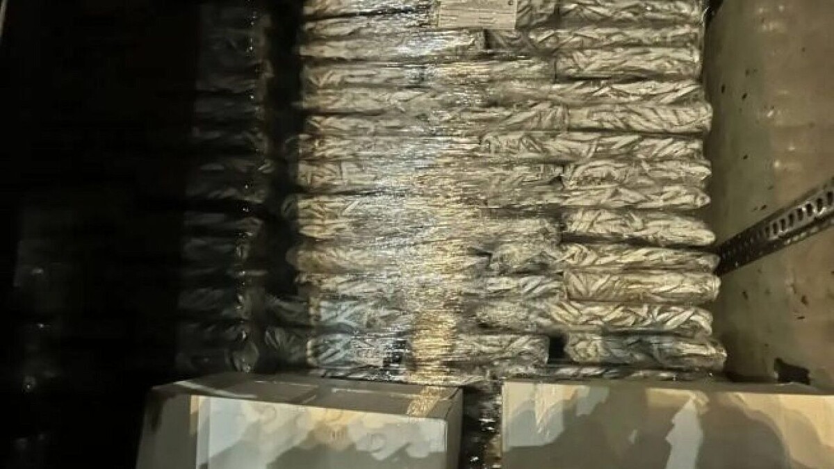    Фото: t.me/rsn_yug