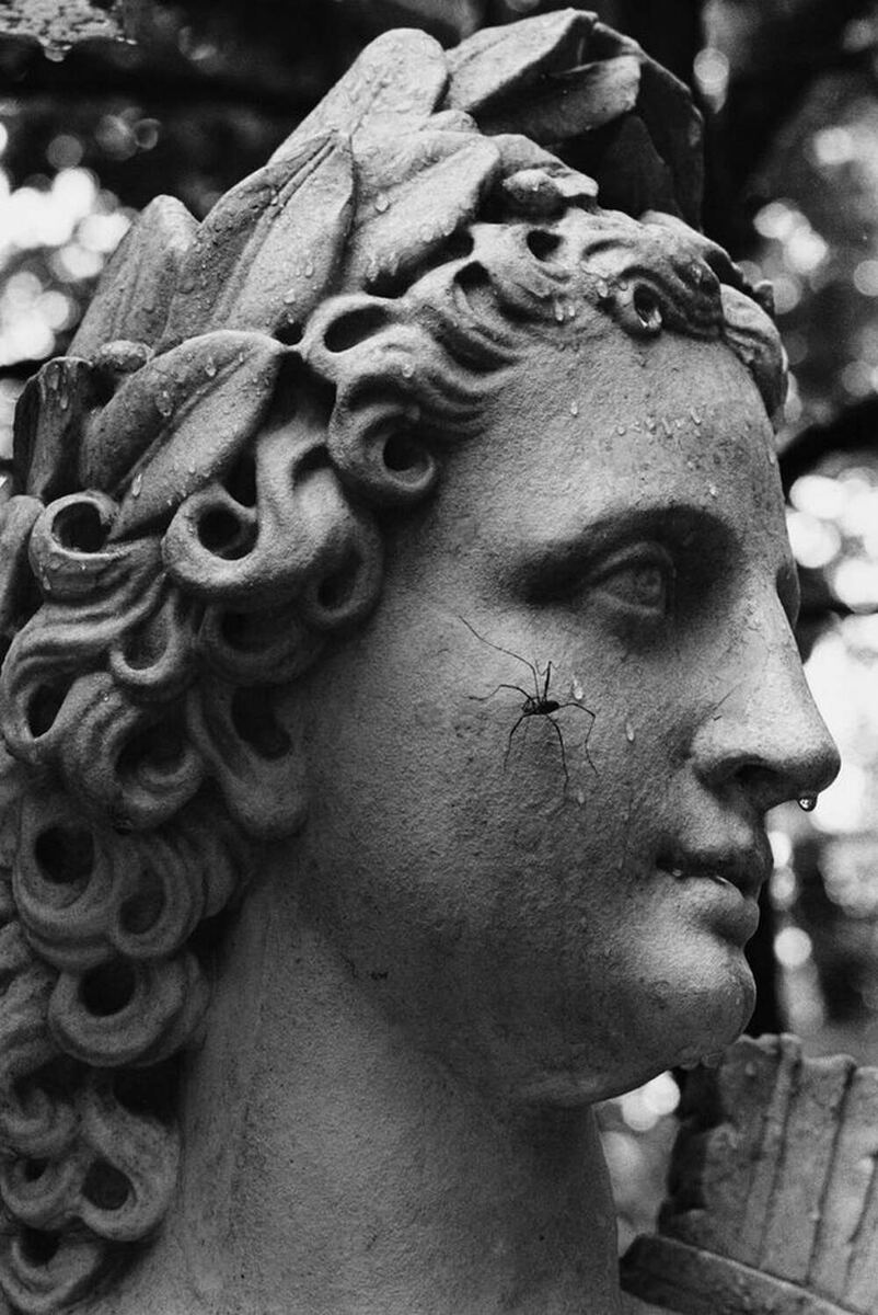 ФОТОРАБОТА ОТ ФОТОГРАФА БОРИСА ИВАНОВИЧА СМЕЛОВА /  Пти-Борис  /  Аполлон с пауком, 1978 год