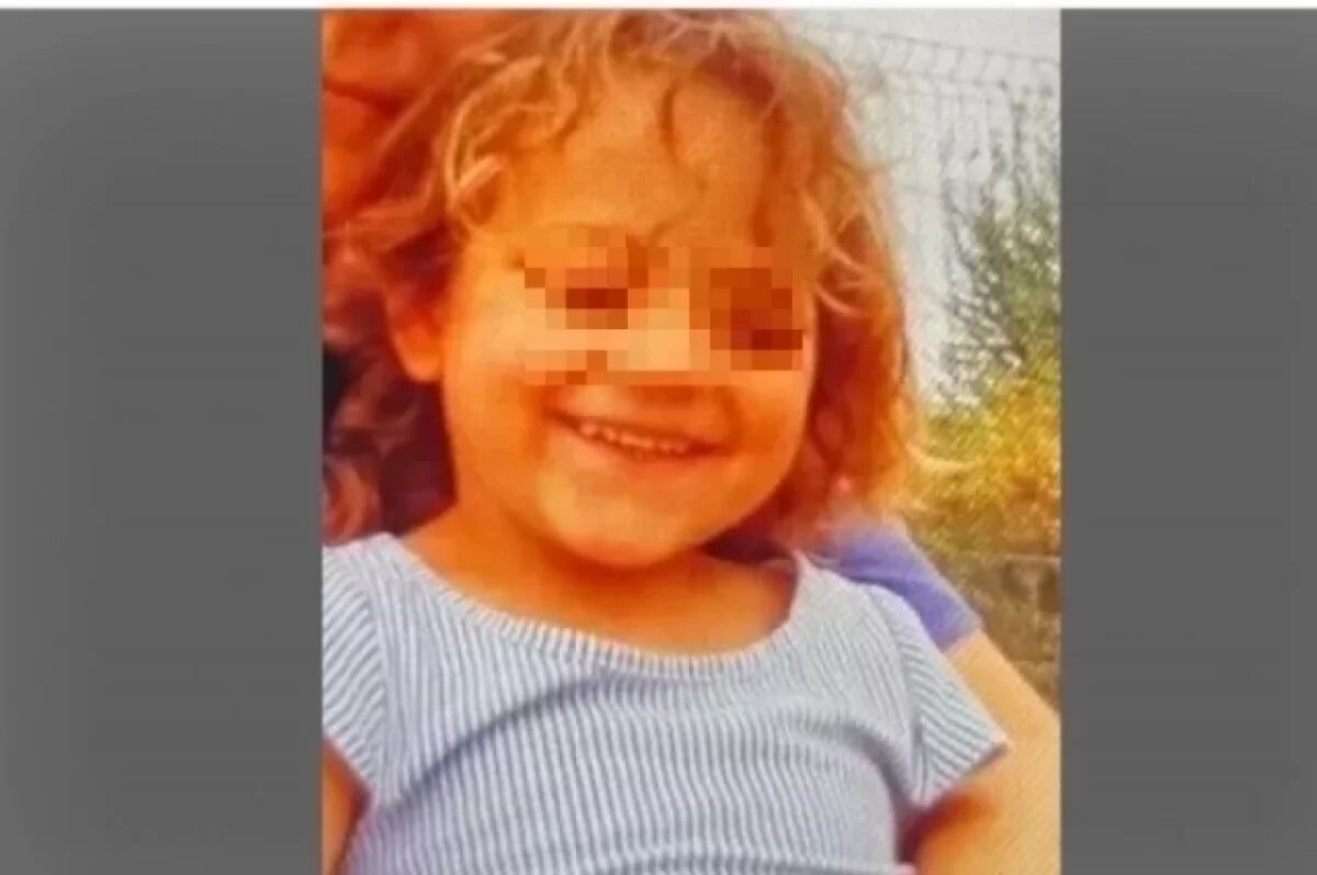    Детский омбудсмен сообщила о состоянии найденной трёхлетней девочки