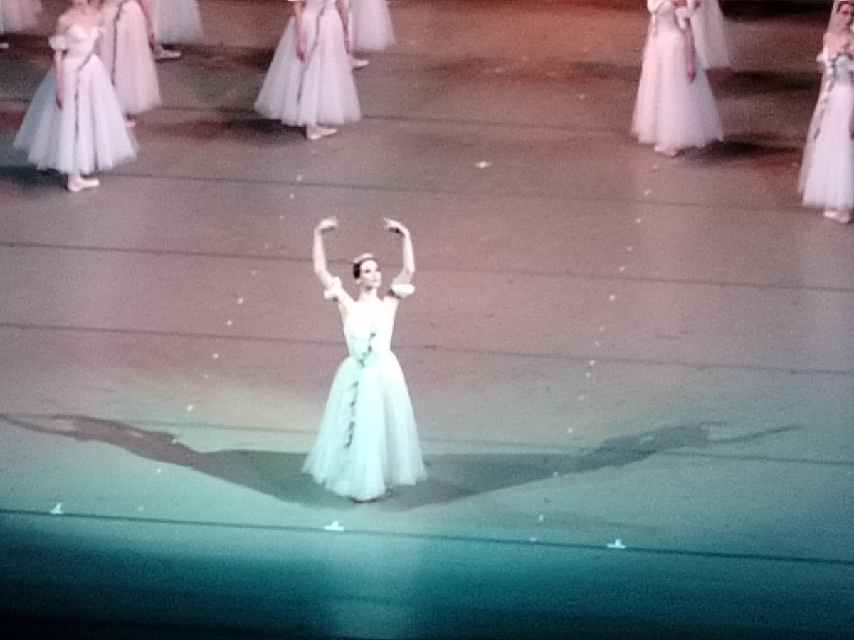 В.Бородулина - Мирта