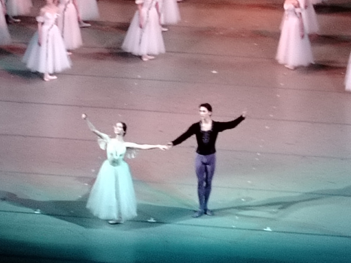 Д.Куликова и М.Чон