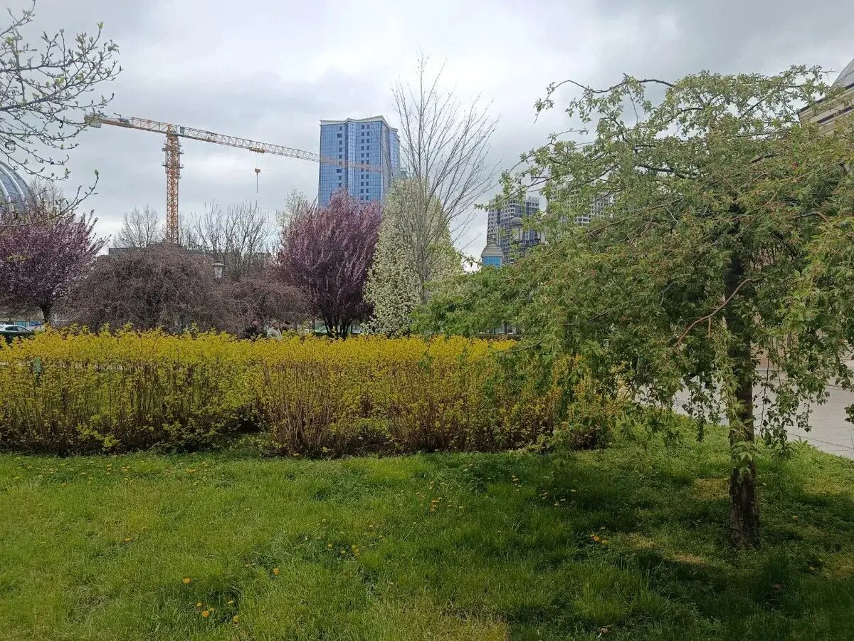     © "Интерфакс". Назир Евлоев