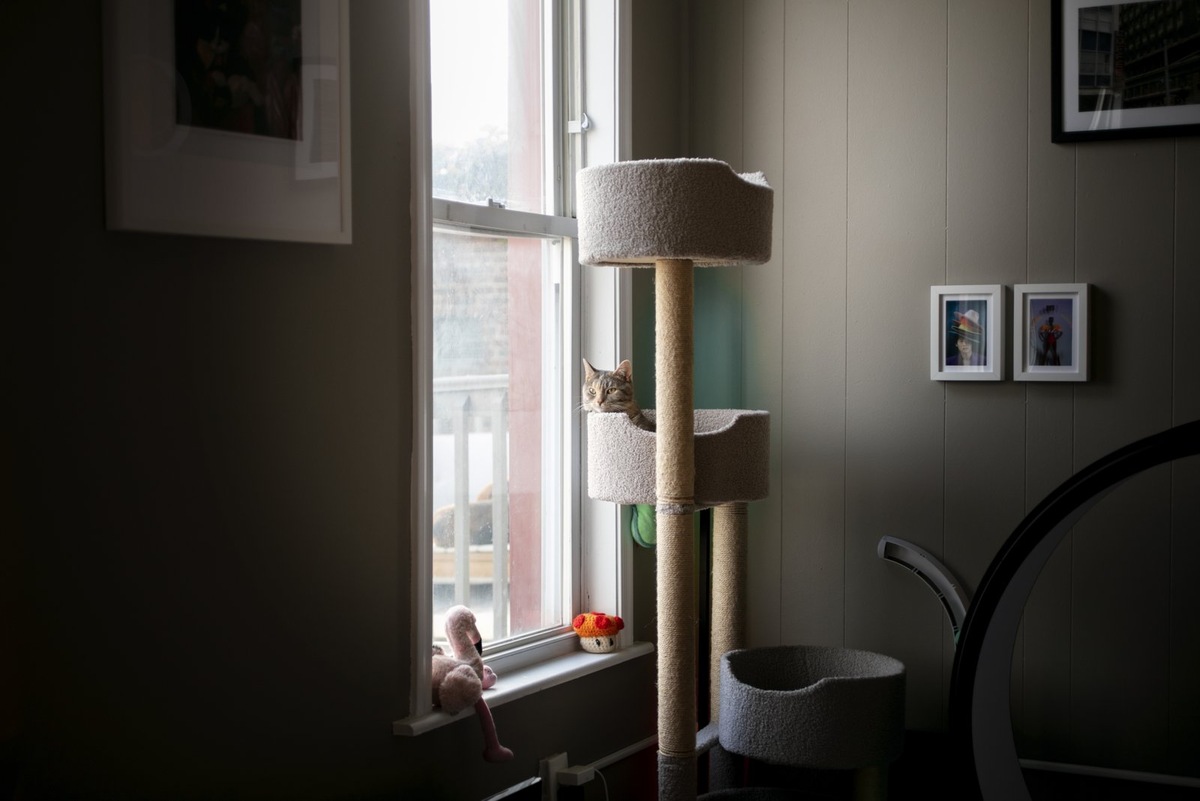    Домик для кошки можно заменить полноценной игровой станцией с лежанками