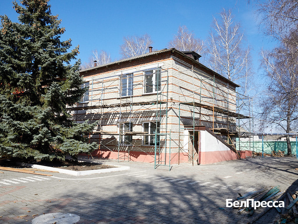     Фото: Елена Журавлёва