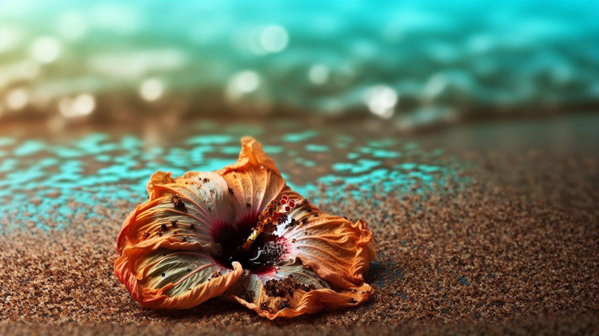    Фото - slanews.ru Юлия Андриенко